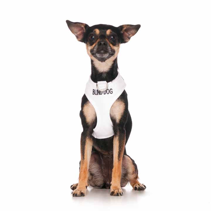 Friendly Dog Collars BLIND DOG Harness XS Vest Canine Command GC